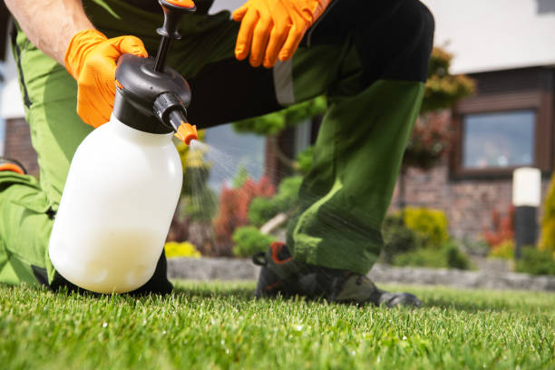 Best Flea Control Services  in Monticello, MN