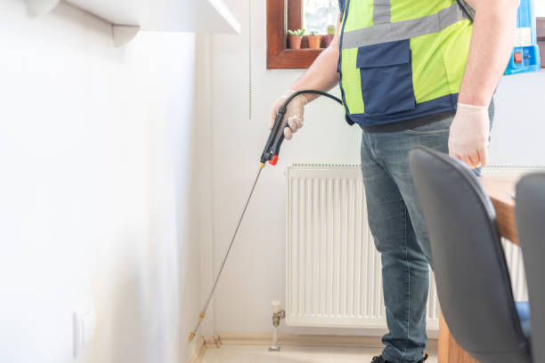 Best Ant Control Services  in Monticello, MN