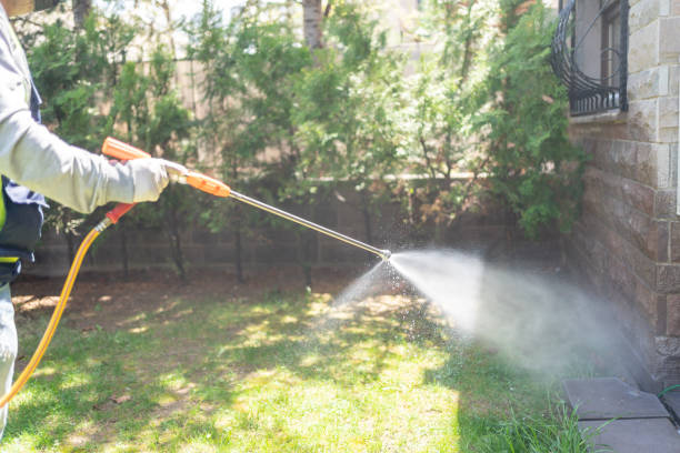 Best Pest Inspection Near Me  in Monticello, MN