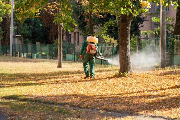 Best Residential Pest Control  in Monticello, MN