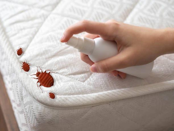 Best Best Pest Control Companies  in Monticello, MN