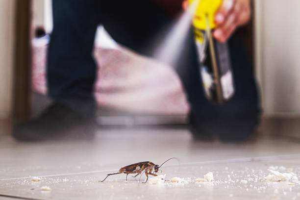 Best Commercial Pest Control Services  in Monticello, MN
