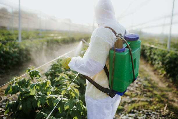 Best Mosquito Control Services  in Monticello, MN
